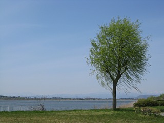 photo-100418-7