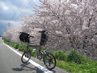 photo-100424-1