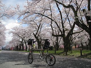 photo-100424-2