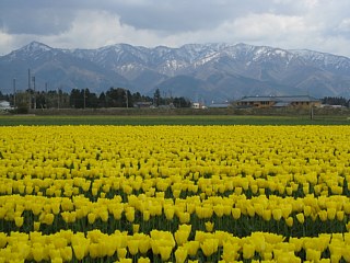 photo-100424-4