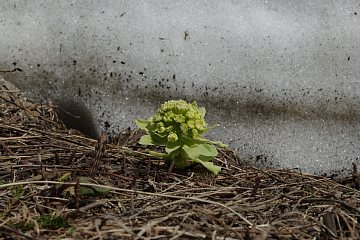 photo-100425-2