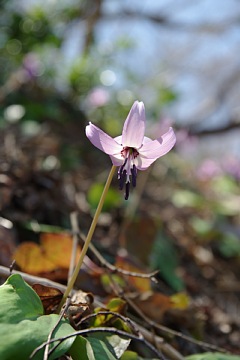 photo-100425-4