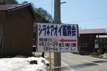 photo-100425-5
