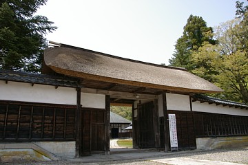photo-100505-1