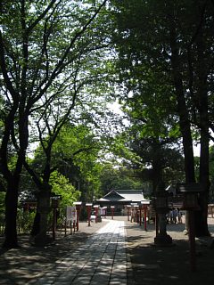 photo-100516-6