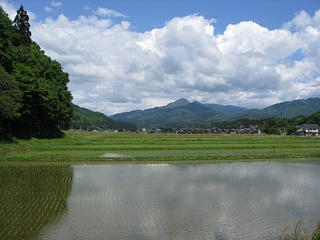 photo-100530-3