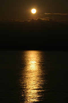 photo-100604-2