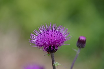 photo-100605-2