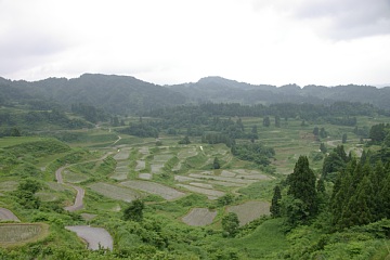 photo-100620-2