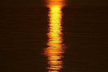 photo-100716-7