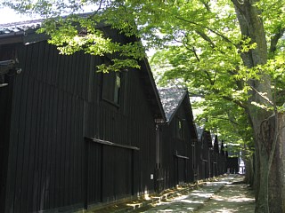 photo-100720-2