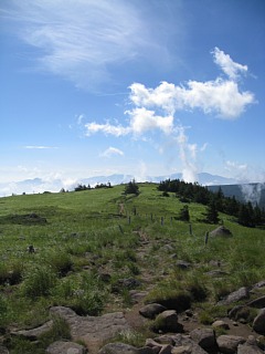 photo-100726-2
