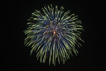 photo-100731-1