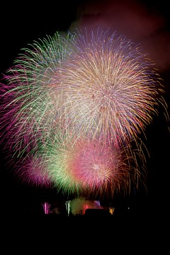 photo-100803-1