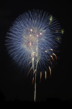 photo-100803-4