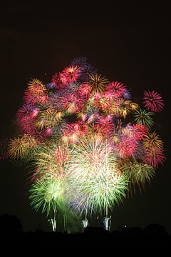 photo-100803-5