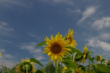 photo-100808-1