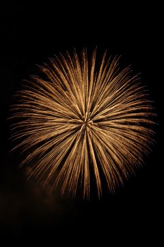 photo-100808-4