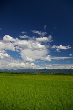 photo-100809-1