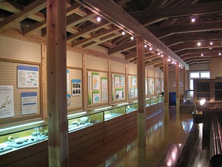photo-100812-5