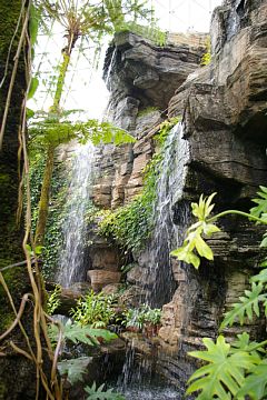 photo-100814-2