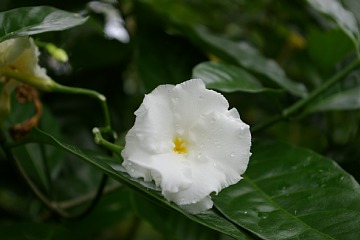 photo-100814-3
