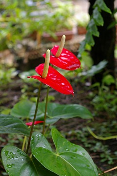 photo-100814-4