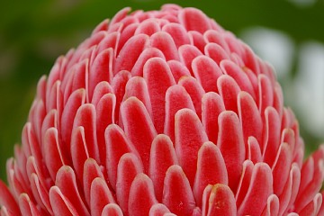 photo-100814-5