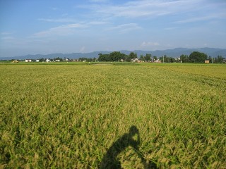 photo-100821-3