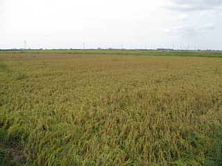 photo-100918-3