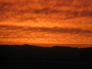 photo-100924-1