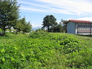 photo-100926-3