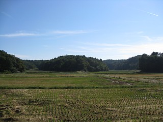 photo-20101002-9