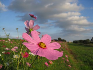 photo-20101010-4