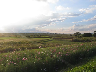 photo-20101010-5