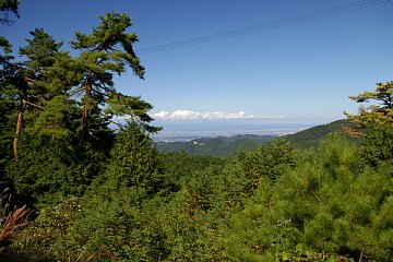 photo-20101011-2