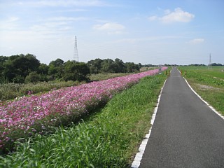 photo-20101023-11