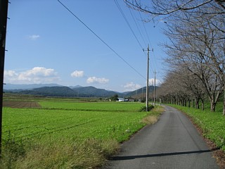 photo-20101023-4