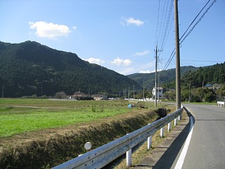 photo-20101023-5