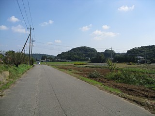 photo-20101023-6