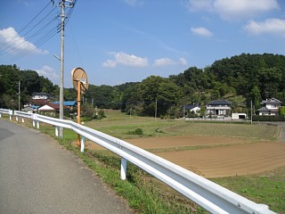 photo-20101023-8