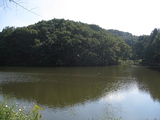 photo-20101023-9