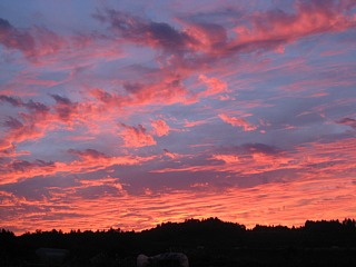 photo-20101029-3