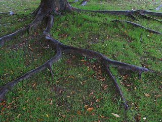 photo-20101030-2