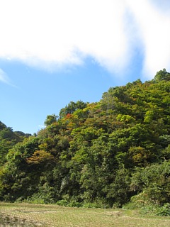 photo-20101031-3