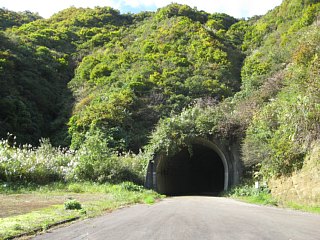 photo-20101031-5