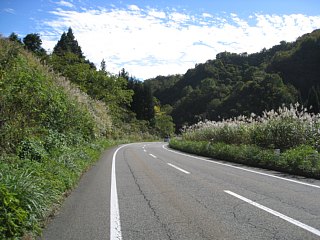 photo-20101031-7
