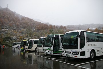 photo-20101103-2