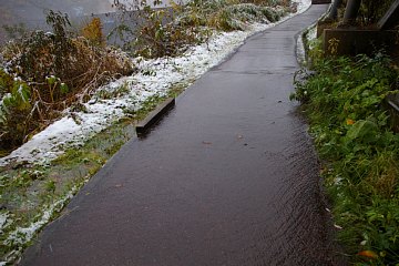 photo-20101103-3