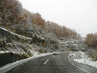 photo-20101103-7